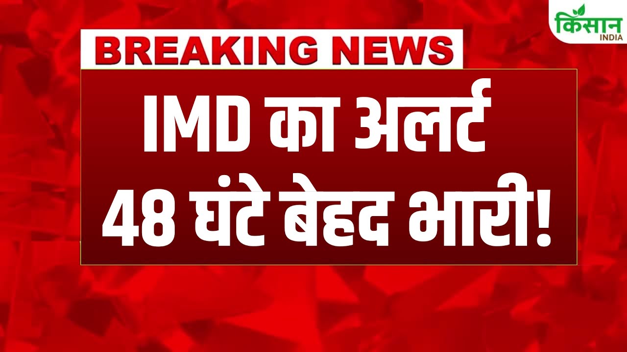 आज कई इलाकों में तेज बारिश का अलर्ट, Delhi से लेकर Bihar तक होगी बारिश