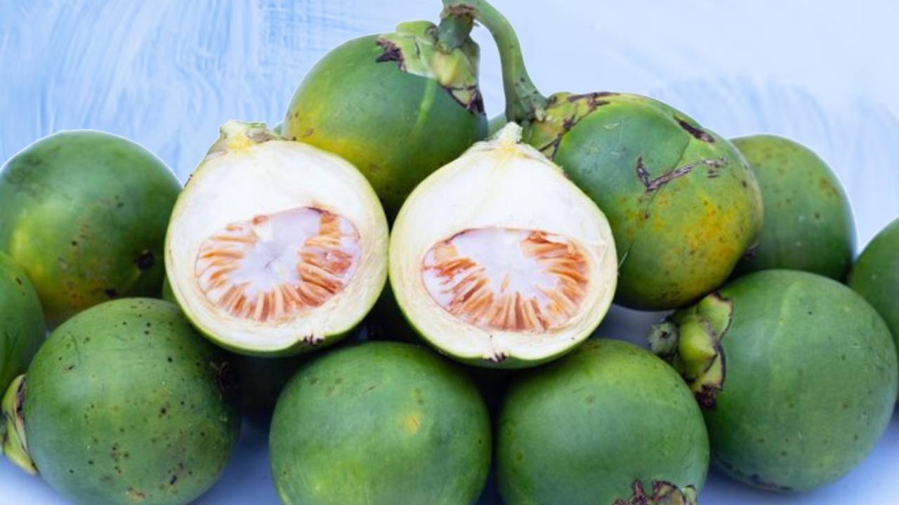 करोड़पति बनना है तो जरूर लगाएं यह पेड़, 100 साल तक मिलेगा तगड़ा मुनाफा