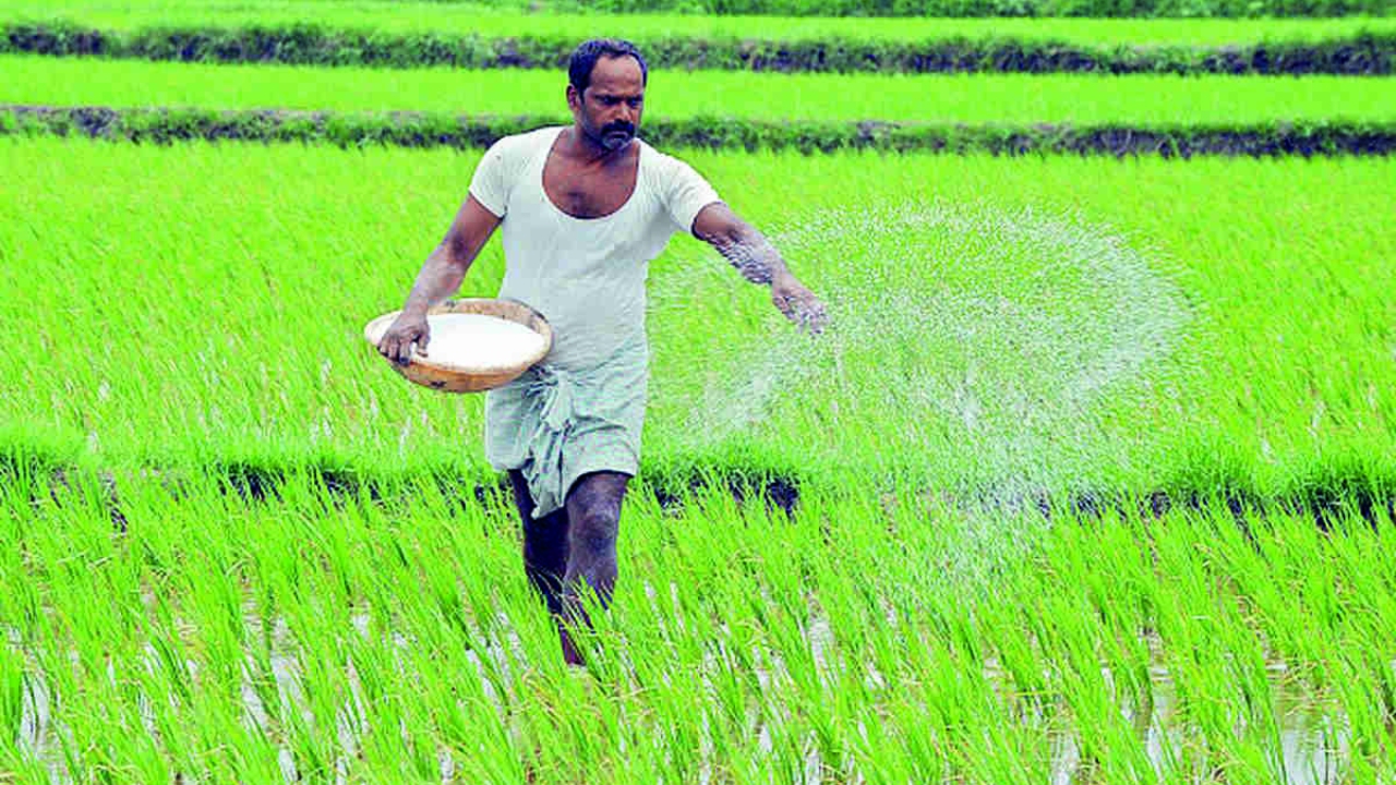 Fertilizer Crisis: खाद की कालाबाजारी, 500 रुपये में बिक रहा 45 किलो वाला यूरिया.. किसान हुए परेशान