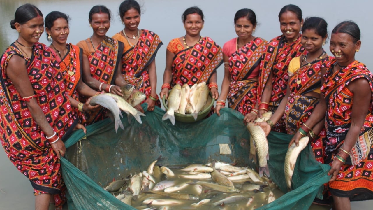 यूपी में महिलाओं के लिए नई मत्स्य पालन योजना, तालाब पर तकनीक सिस्टम लगेगा और कमाई बढ़ेगी
