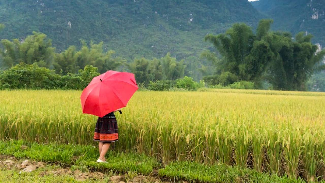 देशभर में भारी बारिश का अलर्ट जारी: यूपी, बिहार, हिमाचल और पूर्वोत्तर राज्यों में बाढ़ का खतरा