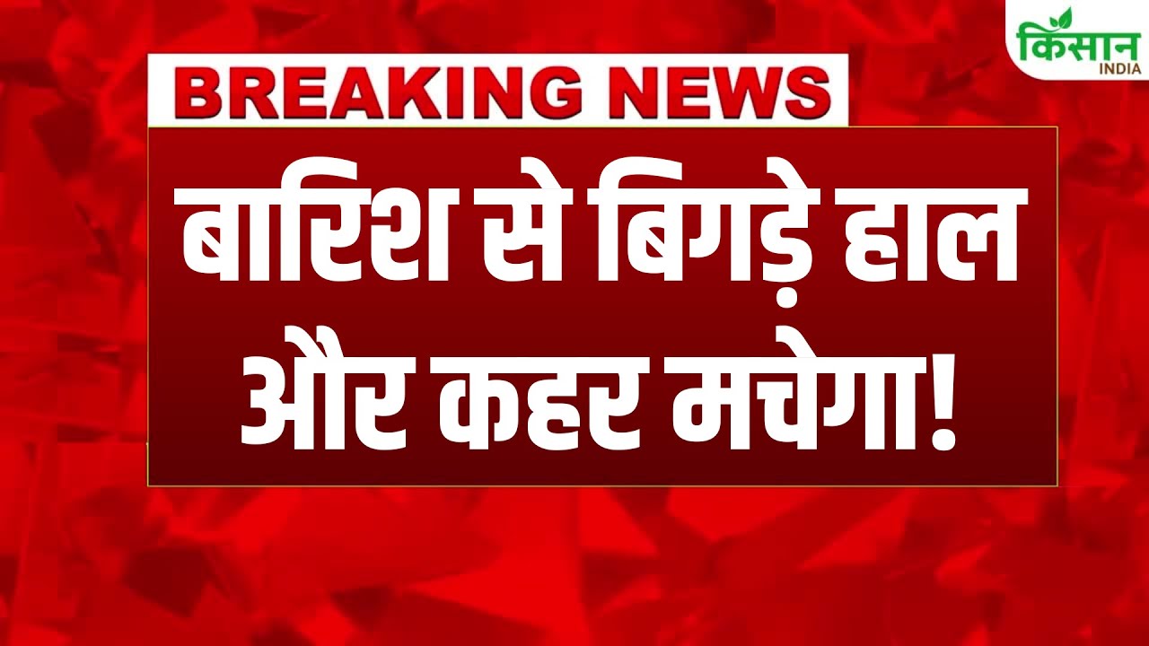 पंजाब के बाद दिल्ली में बाढ़ जैसे हालात, हिमाचल प्रदेश में भारी बारिश के आसार