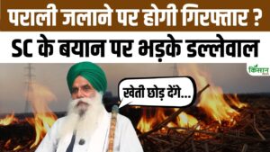 पराली जलाने पर सुप्रीम कोर्ट के फैसले से नाखुश किसान नेता डल्लेवाल, कहा- किसानों की गिरफ्तारी उचित नहीं पराली जलाने पर सुप्रीम कोर्ट के फैसले से नाखुश किसान नेता डल्लेवाल, कहा- किसानों की गिरफ्तारी उचित नहीं