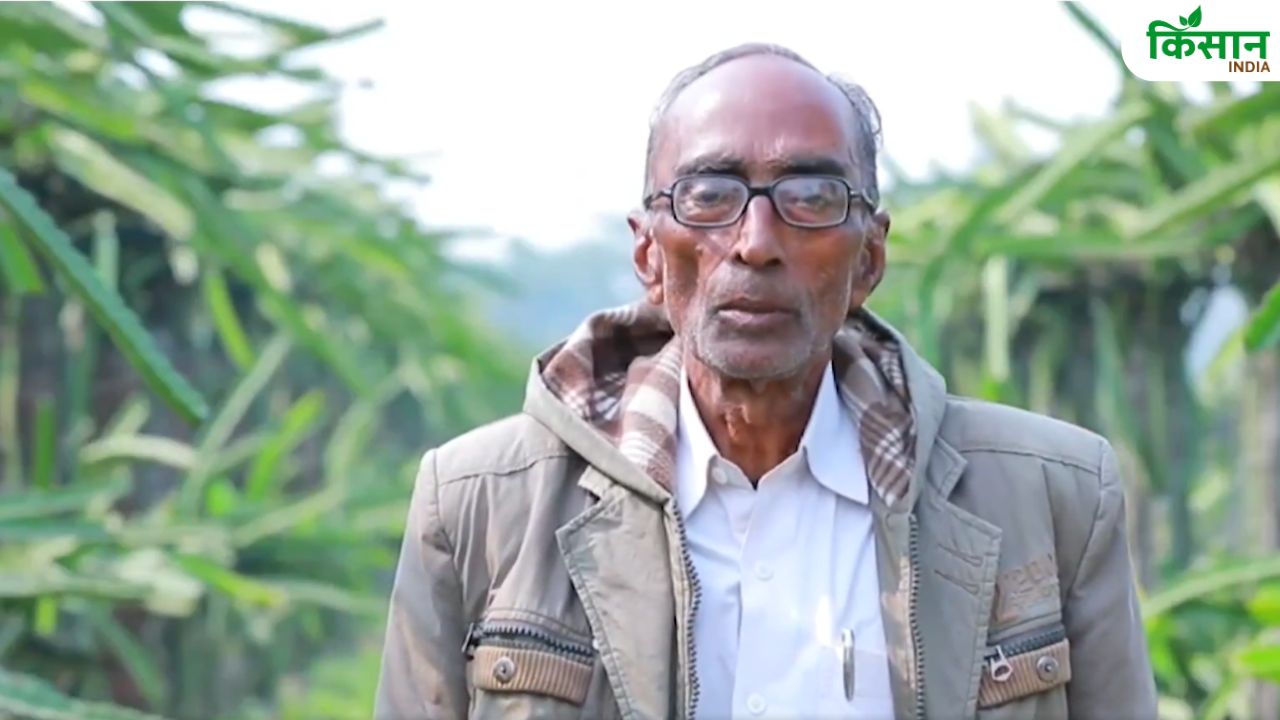 ड्रिप-स्प्रिंकलर सिंचाई से लहलहा रहा ड्रैगन फ्रूट, किशनगंज के किसान नागराज ने बदली खेती की तस्वीर