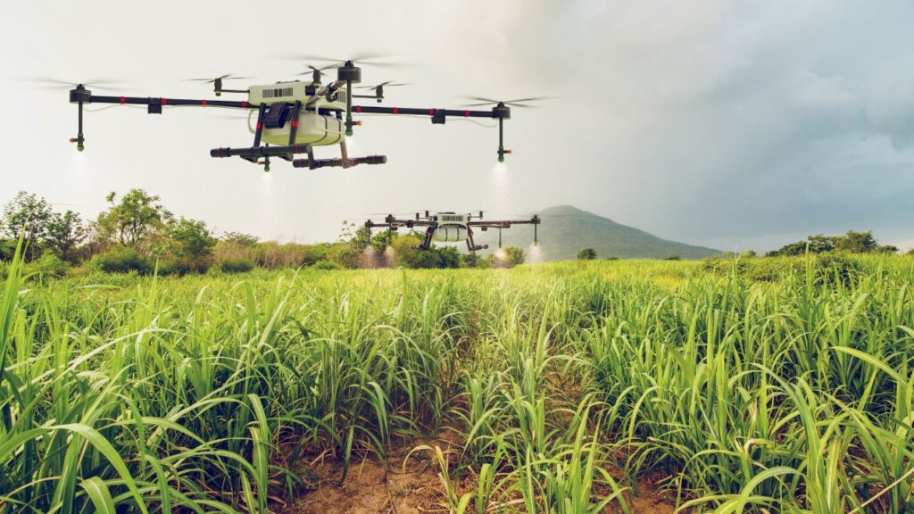 Drone Farming Kaise Hoti Hai: ड्रोन खेत का 3D नक्शा तैयार करता है और मिट्टी की नमी, जल निकासी और सिंचाई की जरूरत का आकलन करता है, जिससे खेती और अधिक वैज्ञानिक बनती है.