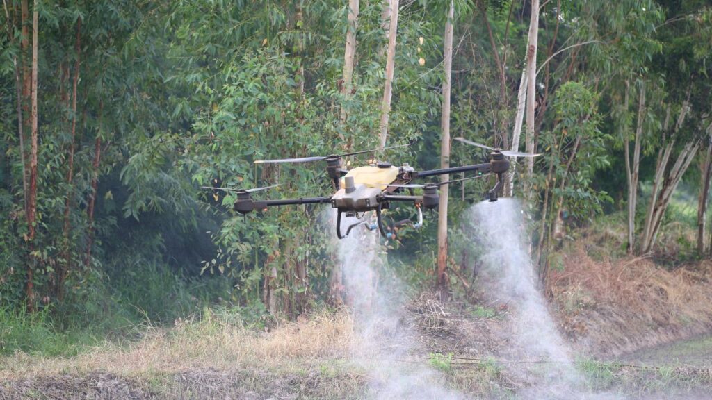 Drone Farming In Hindi: ड्रोन द्वारा इकट्ठा किए गए आंकड़ों के आधार पर किसान सही मात्रा में खाद, पानी और कीटनाशक का इस्तेमाल कर सकते हैं, जिससे लागत कम और लाभ अधिक होता है.