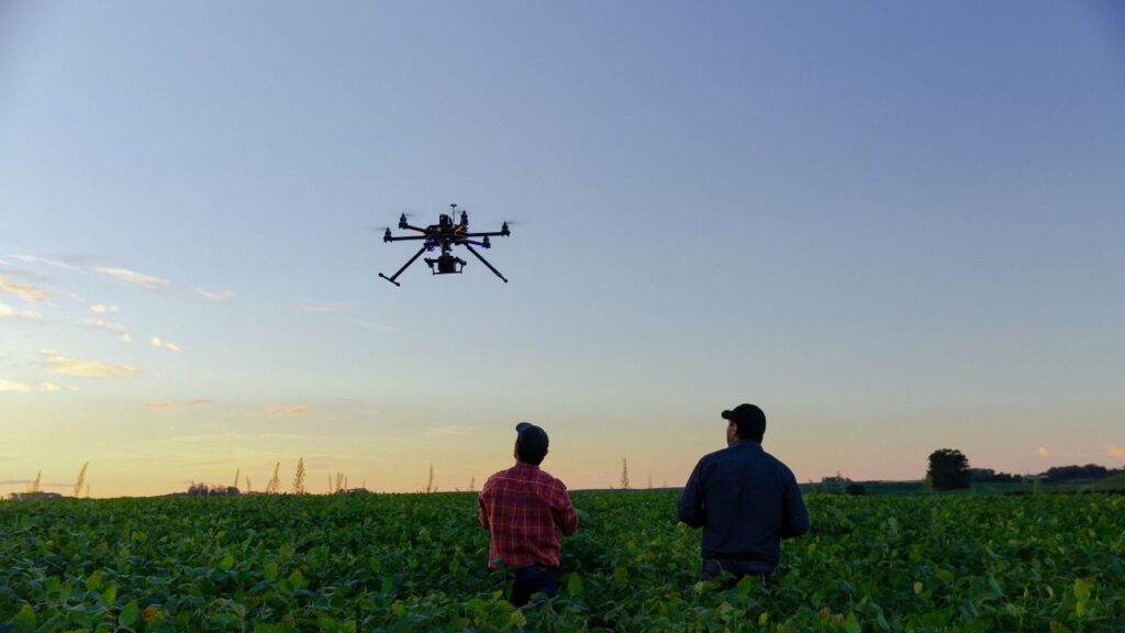 Benefits Of Drone Farming: ड्रोन से पौधों की स्थिति, रोग, कीट या पोषण की कमी जल्दी और सटीक तरीके से पता लगाई जा सकती है, जिससे फसल का नुकसान कम होता है.