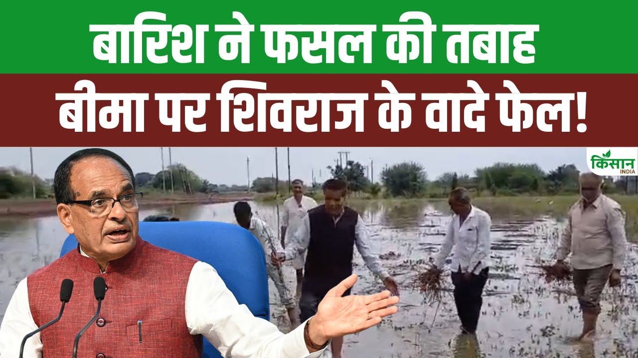 बीमा भुगतान में गड़बड़ी से परेशान किसान, पीएम मोदी से लगाई न्याय की गुहार