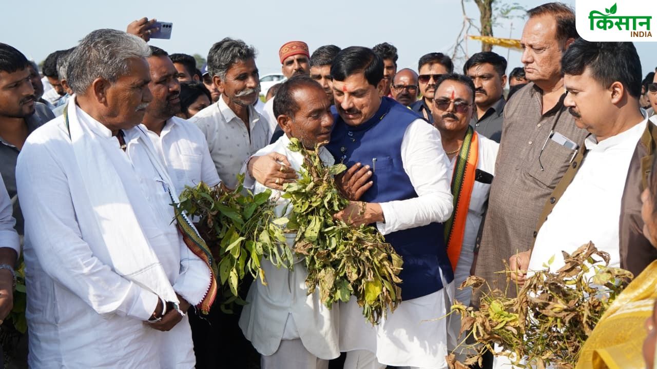 सोयाबीन किसानों को बड़ी राहत, जल्द मिलेगा फसल नुकसान का मुआवजा.. CM मोहन यादव ने सर्वे का दिया आदेश