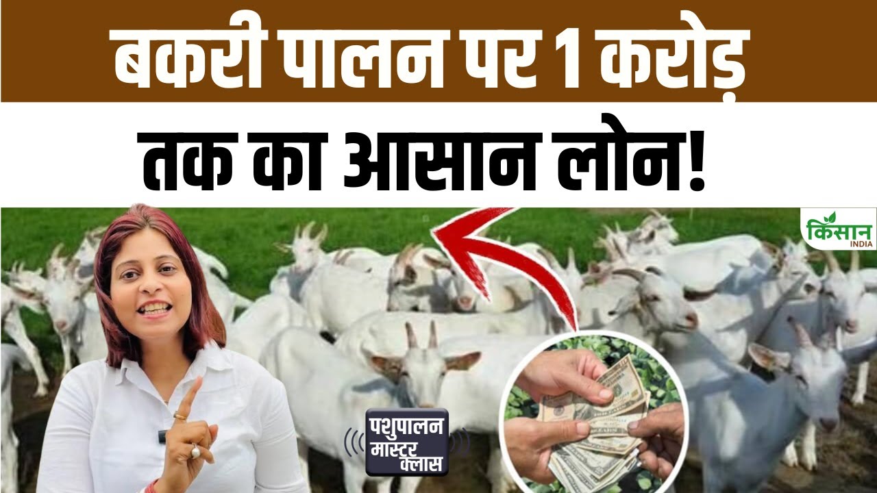 यूपी में बकरी पालन करना होगा आसान, सरकार दे रही 1 करोड़ तक का लोन