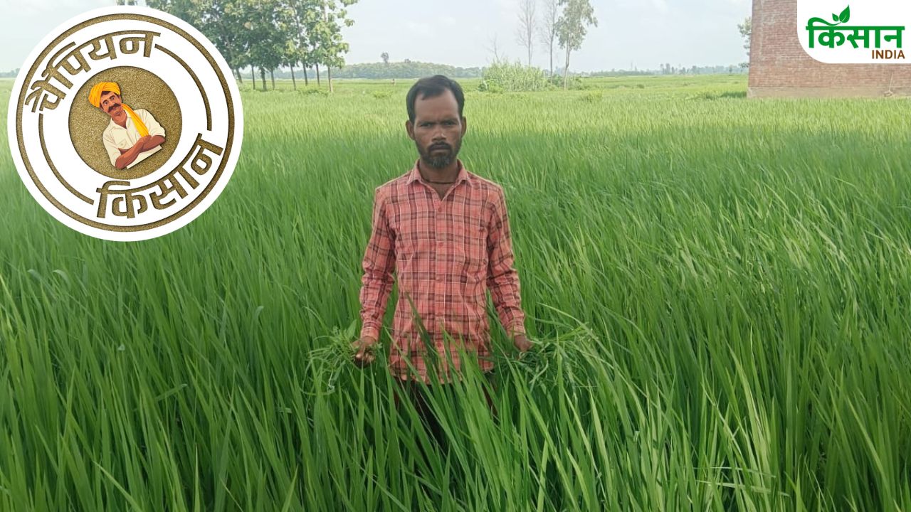 कड़ी धूप में पिता की मेहनत देख खेती की तरफ बढ़ा रुझान, सिद्धार्थनगर के किसान विष्णु यादव कर रहे लाखों में कमाई