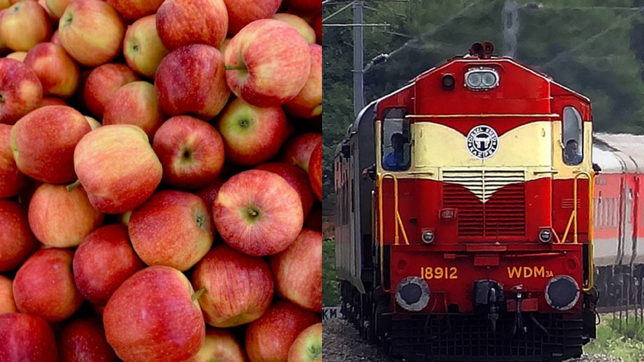 कश्मीर के सेब अब पहुंचेंगे और तेजी से, दिल्ली तक शुरू हुई रोजाना रेल सेवा