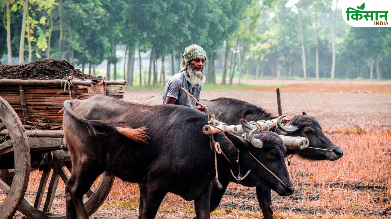 30 हजार रुपए पाने के लिए किसान जल्द करें.. कल है लास्ट डेट, डॉक्यूमेंट लिस्ट देखें