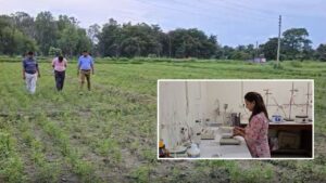 1400 रुपये में बिकता है तेल.. मेंथा की खेती से करोड़पति बनेंगे किसान, कृषि वैज्ञानिकों ने नई तकनीक विकसित की