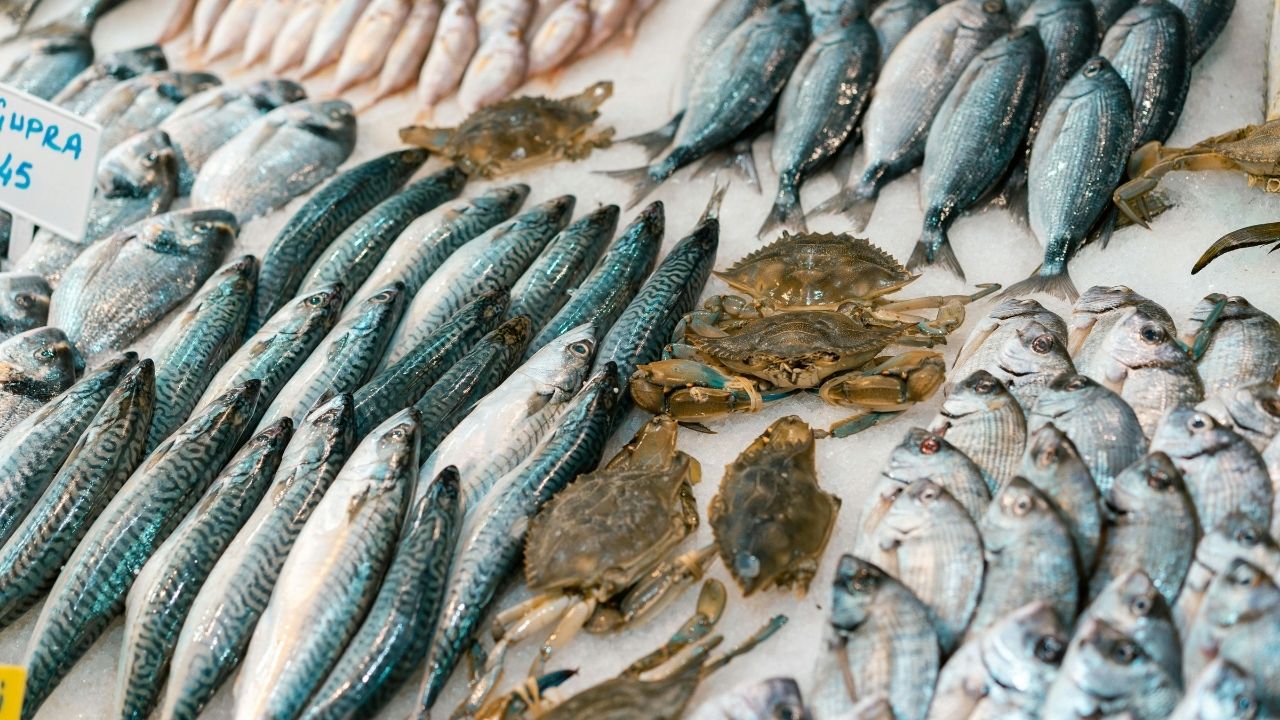 पहले आओ पहले पाओ, पीएम मत्स्य संपदा योजना के लिए जल्द करें आवेदन, मात्र 10 दिन बचे