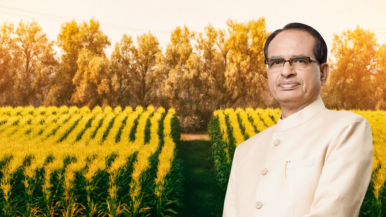 प्राकृतिक खेती में किसानों की घटती रुचि ने बढ़ाई चिंता, क्या है सरकार की नई रणनीति