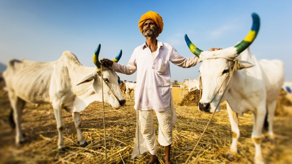 PM Kisan Yojana: प्रधानमंत्री किसान सम्मान निधि योजना का मकसद आर्थिक रूप से कमजोर किसानों को मदद देना है. इस योजना के तहत सालाना 6,000 रुपये की राशि तीन समान किश्तों में सीधे बैंक खाते में भेजी जाती है. यह राशि किसानों के खेती खर्च और परिवार की जरूरतों में सहायक होती है. PM Kisan Yojana: प्रधानमंत्री किसान सम्मान निधि योजना का मकसद आर्थिक रूप से कमजोर किसानों को मदद देना है. इस योजना के तहत सालाना 6,000 रुपये की राशि तीन समान किश्तों में सीधे बैंक खाते में भेजी जाती है. यह राशि किसानों के खेती खर्च और परिवार की जरूरतों में सहायक होती है.