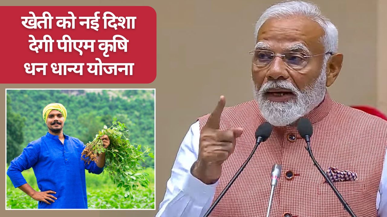 पीएम मोदी का किसानों को 42 हजार करोड़ का तोहफा, कृषि धन धान्य योजना और दलहन मिशन की शुरुआत 