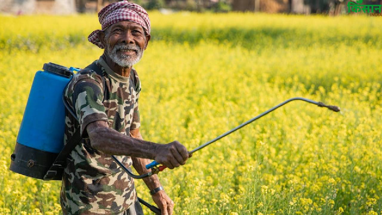 NCRB रिपोर्ट: पंजाब, हरियाणा और हिमाचल में कीटनाशकों से 1,197 मौतें, चौंकाने वाले हैं आंकड़े