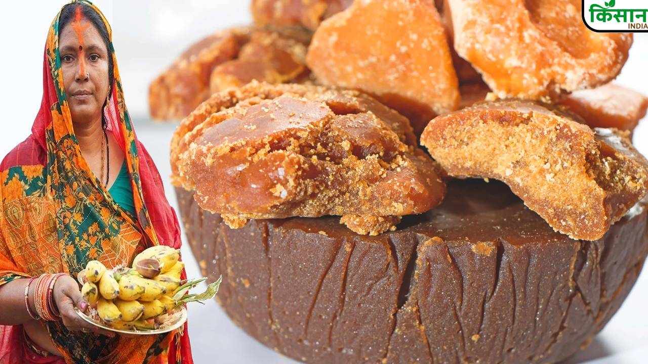छठ पूजा के मौके पर जानें, असली और नकली गुड़ की पहचान कैसे करें?