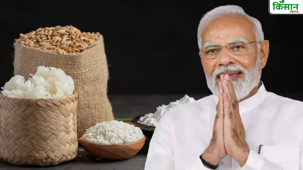 GST और टैरिफ के बीच 2025 में भारतीय कृषि ने बनाया रिकॉर्ड, 2026 में अहम कानूनों से उम्मीद