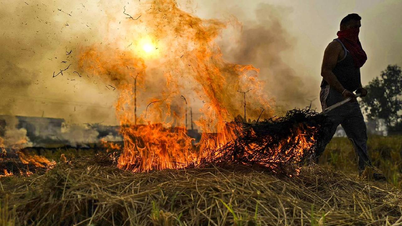 बिहार में पराली जलाने वाले 1800 किसानों की सब्सिडी रोकी गई, सरकारी योजनाओं का लाभ भी नहीं मिलेगा