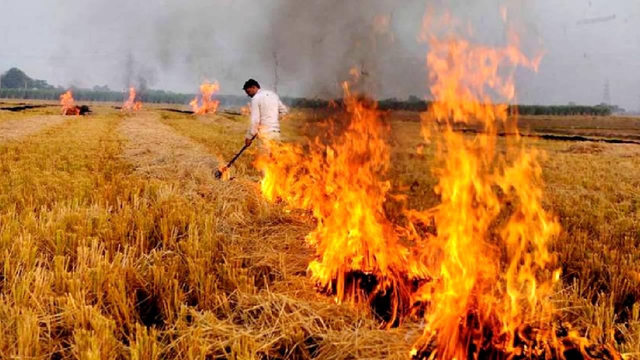 पराली जलाने से रोकने के लिए अभियान शुरू, 770 किसानों से वसूले गए 16 लाख रुपये