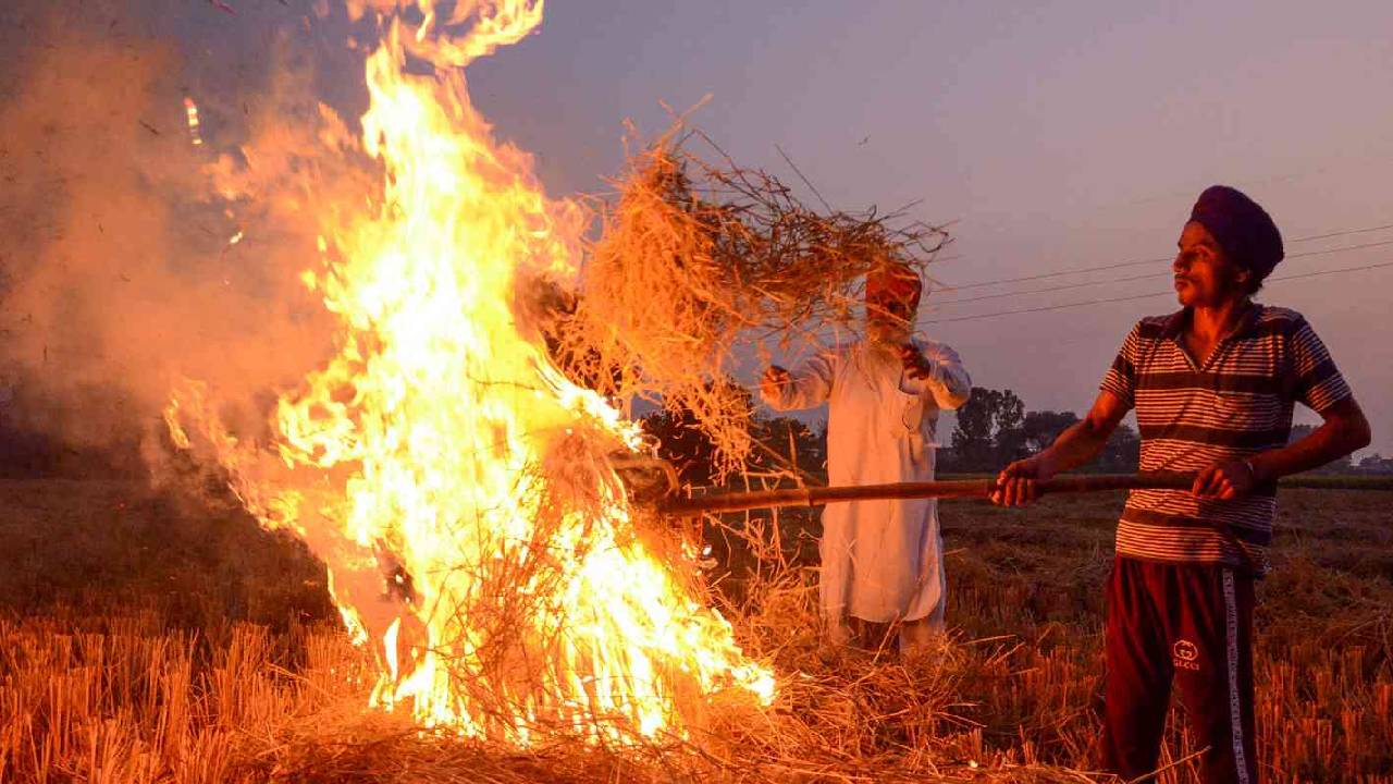 पंजाब में पराली जलाने की घटनाएं दोगुनी, धान की कटाई में देरी से बढ़ा प्रदूषण संकट