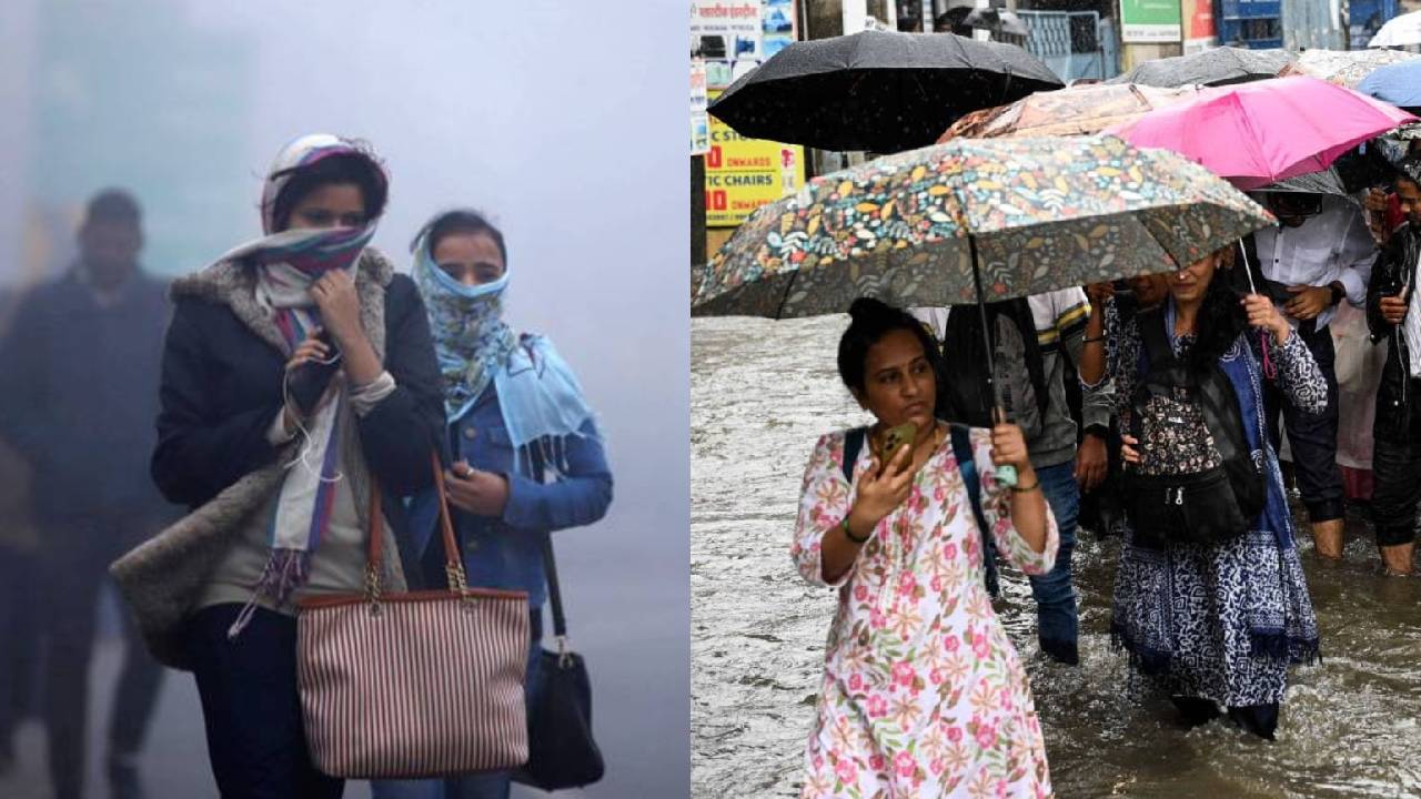 उत्तर से दक्षिण तक बारिश और घने कोहरे का अलर्ट जारी, जानिए आपके राज्य में कैसा रहेगा मौसम