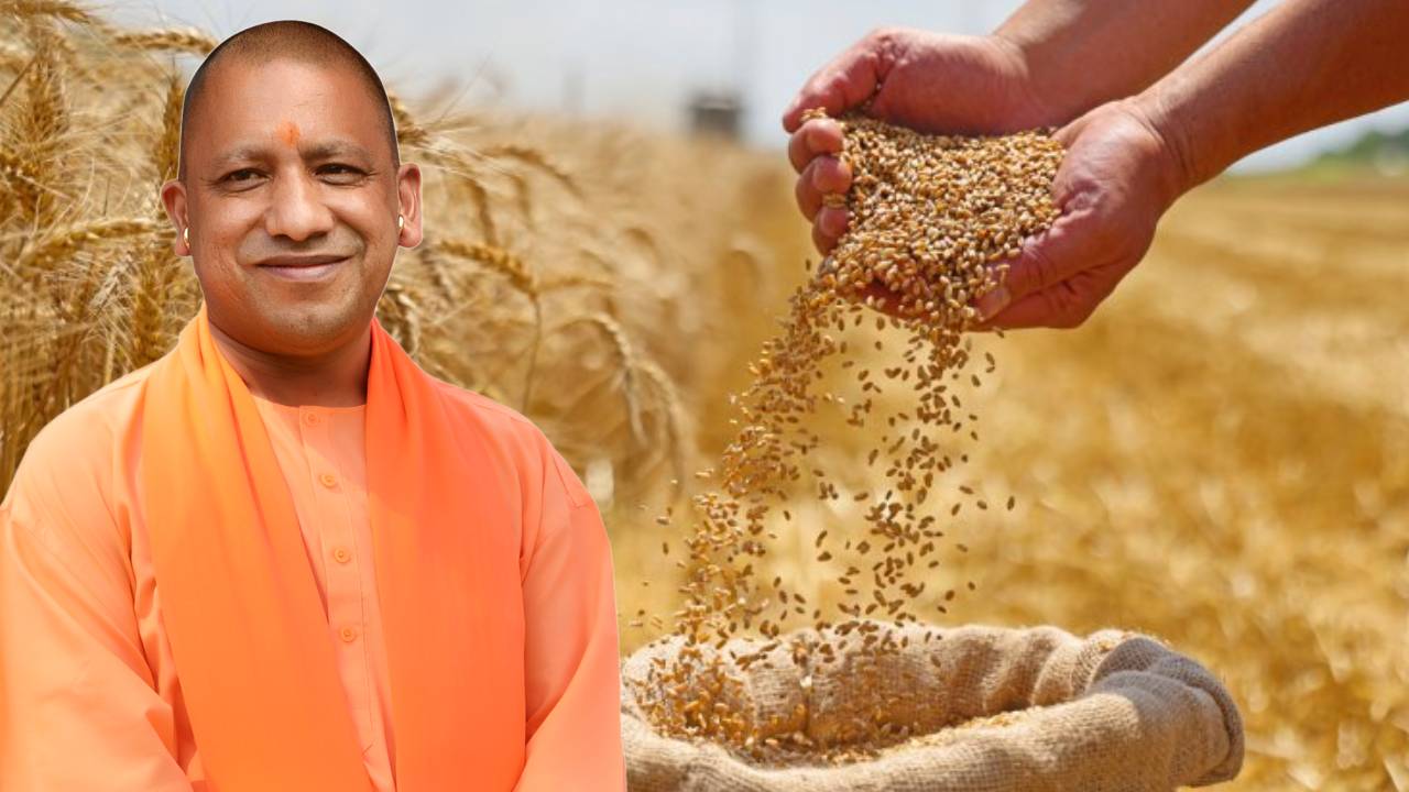 अनाज खरीद में यूपी ने बनाया नया रिकॉर्ड, 51 लाख किसानों के खातों में पहुंचे करोड़ों रुपये