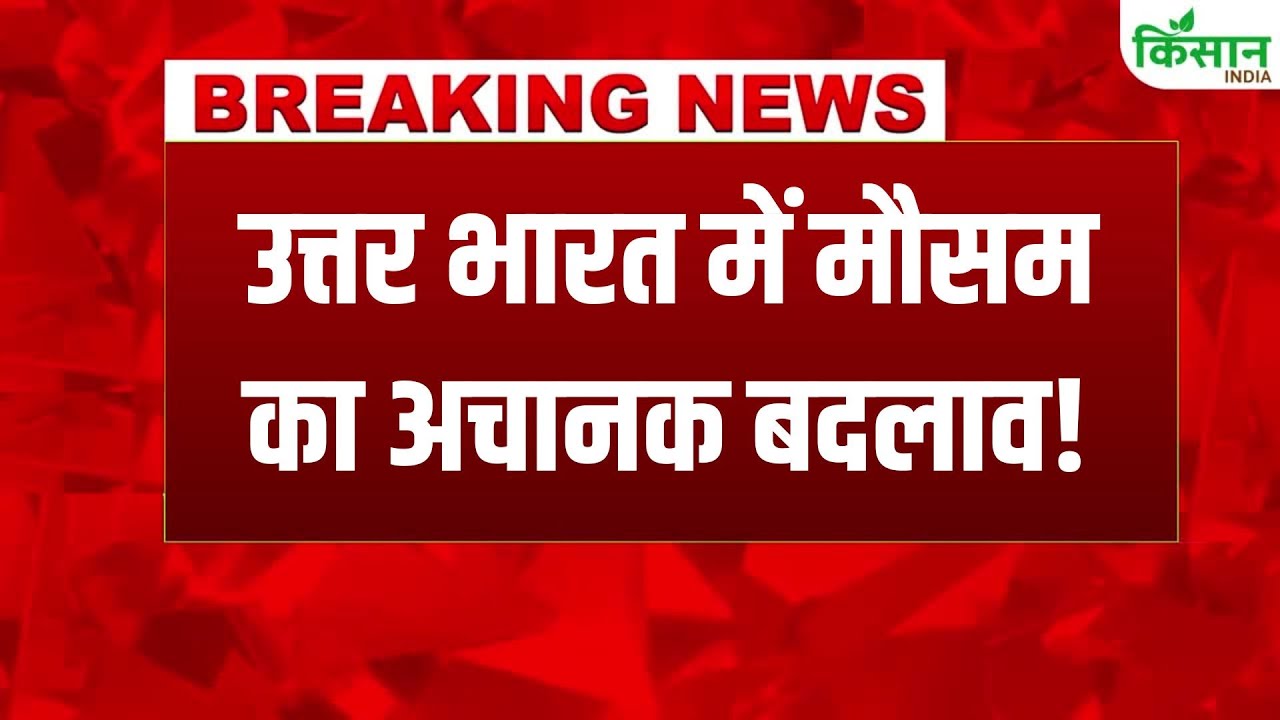 दिल्ली-एनसीआर में ठंडी हवाओं की एंट्री, जानिए कब बढ़ेगी सुबह-शाम की सर्दी