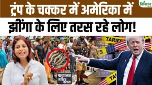अमेरिका में झींगा हुआ महंगा, ट्रंप के टैरिफ से भारतीय एक्सपोर्टर्स को मिल सकता है बड़ा फायदा अमेरिका में झींगा हुआ महंगा, ट्रंप के टैरिफ से भारतीय एक्सपोर्टर्स को मिल सकता है बड़ा फायदा