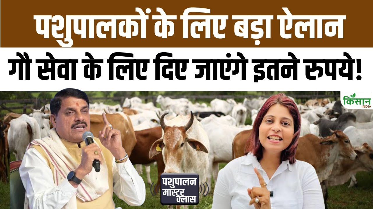 अंबेडकर कमधेनु योजना के तहत बढ़ा अनुदान, पशुपालन से अब किसान बनेंगे आत्मनिर्भर