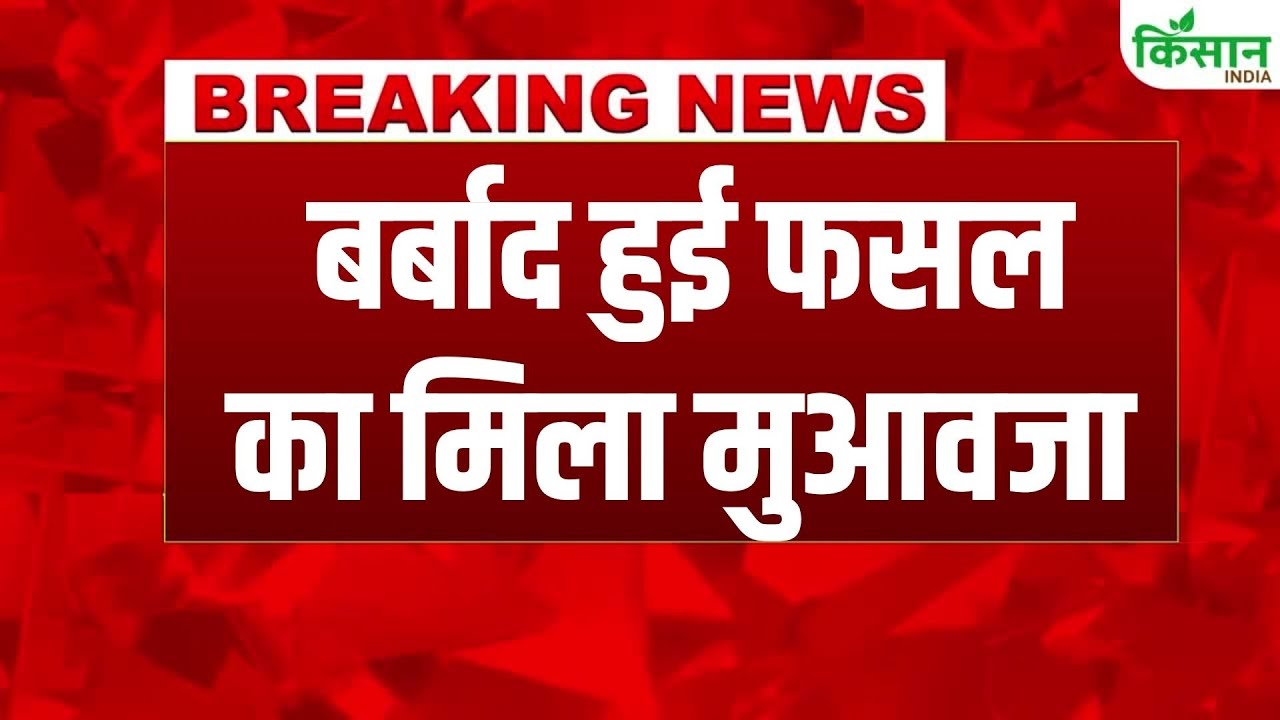 सरकार ने 8 लाख किसानों को फसल मुआवजा जारी किया, खाते में कुल 653.34 करोड़ रुपये भेजे