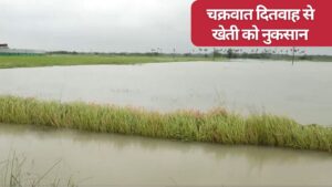 चक्रवात दितवाह का कहर, 57 हजार हेक्टेयर फसलें डूबीं.. 149 पशुओं की मौत, किसानों को भंयकर नुकसान चक्रवात दितवाह का कहर, 57 हजार हेक्टेयर फसलें डूबीं.. 149 पशुओं की मौत, किसानों को भंयकर नुकसान