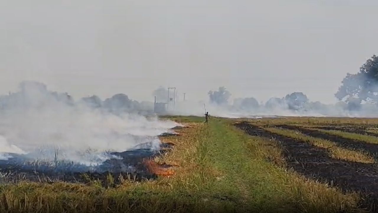 पराली जलाने पर यूपी में किसानों पर लाखों का जुर्माना लगा, सैटेलाइट सर्वे से पकड़े जा रहे केस