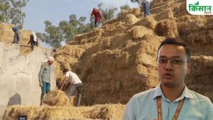 Success Story: कचरे में छिपा सोना! लंदन की नौकरी छोड़ शुभम ने पराली से बनाया करोड़ों का बिजनेस Success Story: कचरे में छिपा सोना! लंदन की नौकरी छोड़ शुभम ने पराली से बनाया करोड़ों का बिजनेस