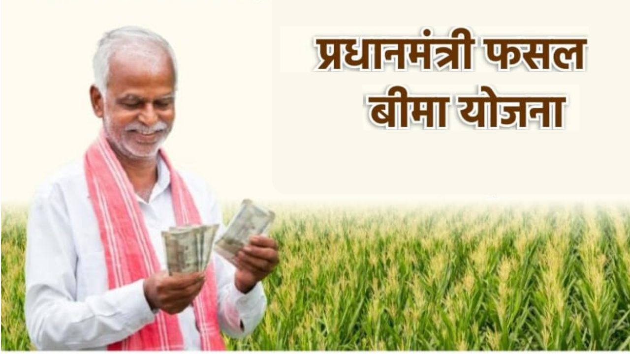 बेमौसम बारिश से नुकसान पर राहत, कटाई के बाद भी मिलेगा फसल बीमा का मुआवजा… ऐसे करें क्लेम
