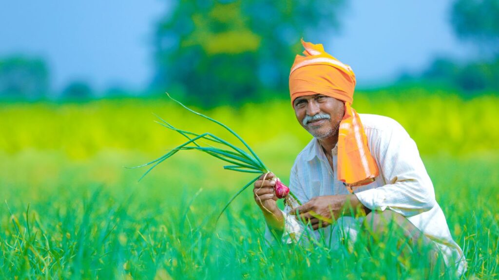 किसानों के लिए खुशखबरी है — नवंबर के पहले सप्ताह में पीएम किसान सम्मान निधि की 21वीं किस्त के ₹2,000 किसानों के खातों में ट्रांसफर किए जाने की पूरी उम्मीद है.