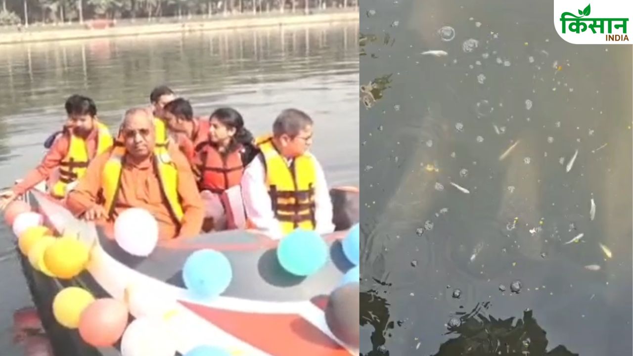 मत्स्य पालन मंत्री के नदी में छोड़ते ही मर गईं 2 लाख मछलियां, जांच के लपेटे में कई अफसर.. नौकरी भी जाएगी!