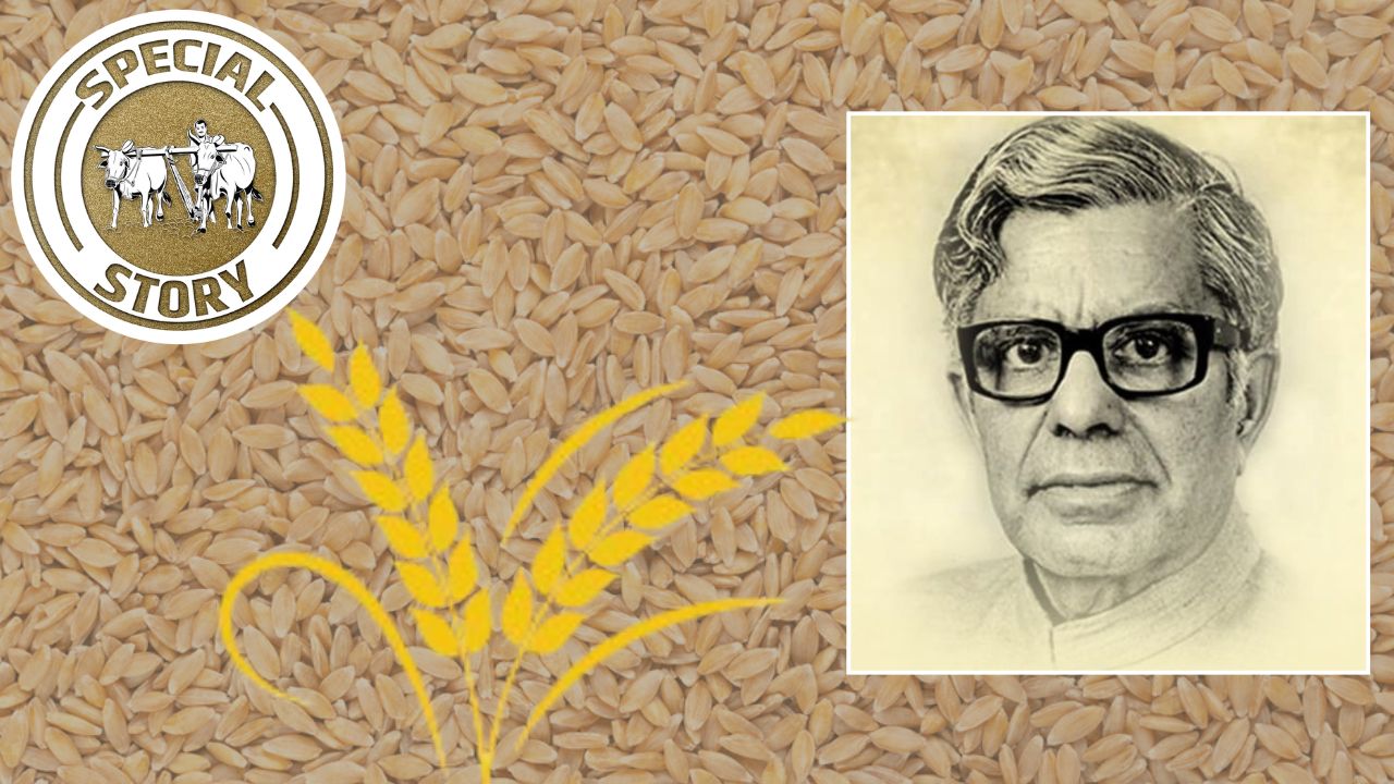 ये शख्स न होता तो आज भी गेहूं की जगह जौ-रागी की रोटी खा रहे होते? खेती को आधुनिक बनाने वाले कौन थे चिदंबरम सुब्रमण्यम