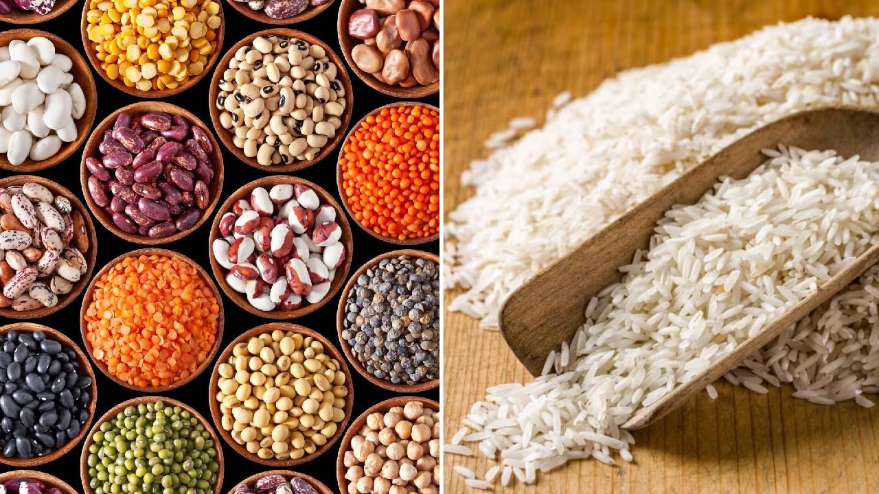 भारत के कृषि निर्यात ने तोड़ा रिकॉर्ड, 6 महीनों में 12 प्रतिशत की उछाल, जानिए किन फसलों की बढ़ी मांग