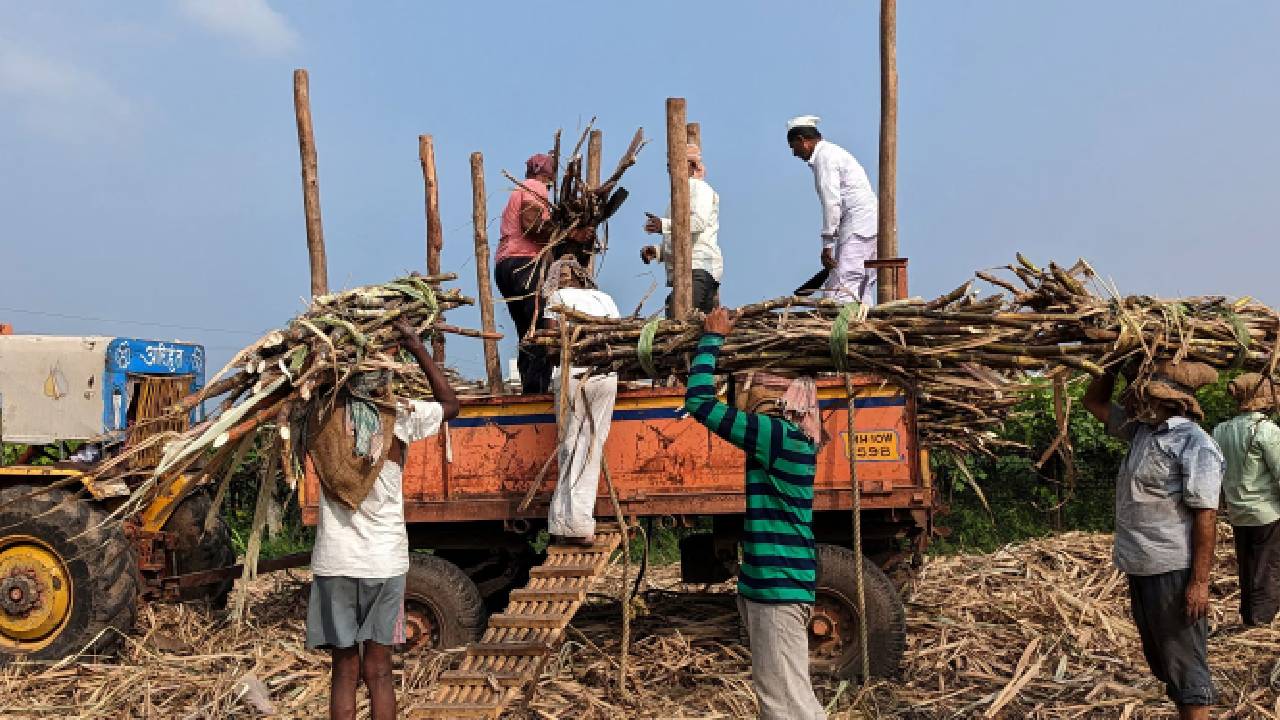 किसान नेता राजू शेट्टी का दावा- 40 दिन बाद भी चीनी मिलों ने किसानों को नहीं चुकाए 2005 करोड़