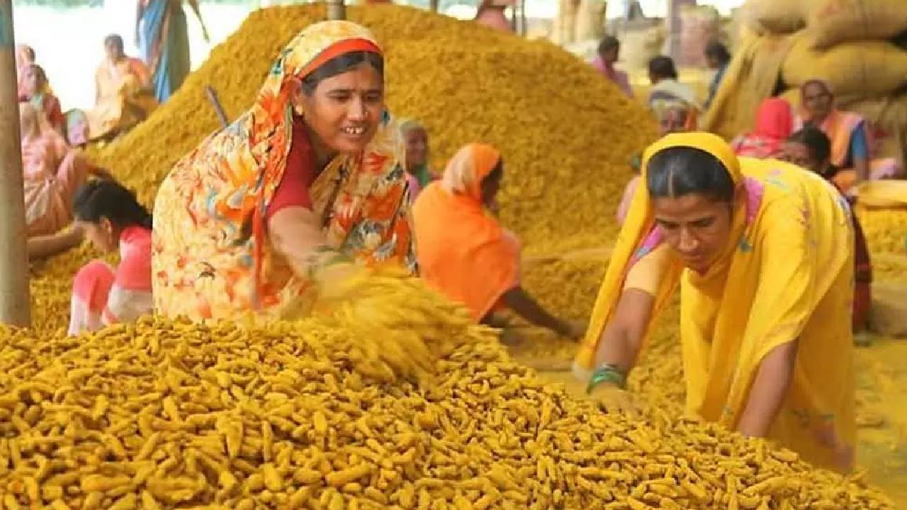 समस्तीपुर बनेगा हल्दी का हब, नई नीति से बदलेगी बिहार की खेती की तस्वीर, जानें कैसे