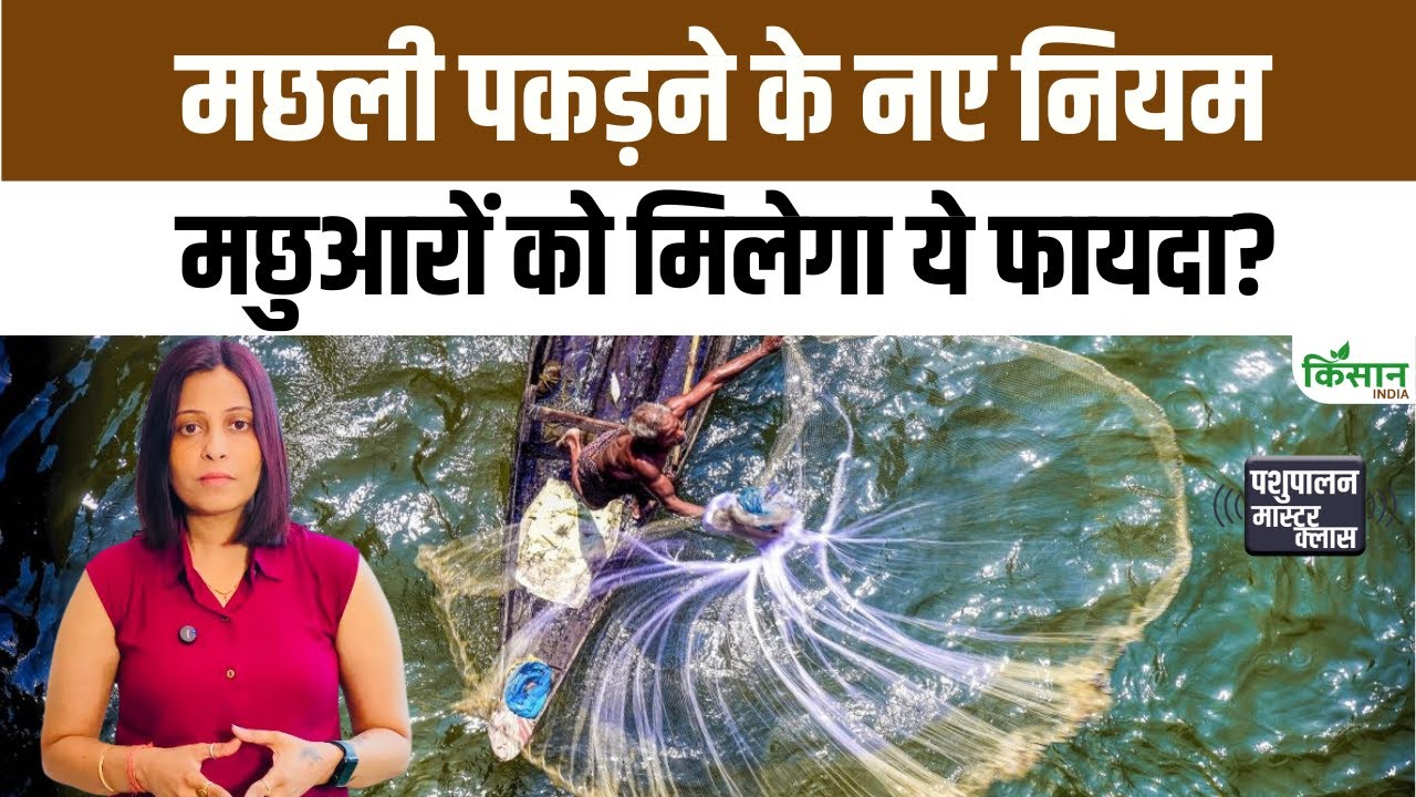 Deep Sea Fishing के नए नियम लागू, अब मछुआरों को गहरे समुद्र में मछली पकड़ने की खुली आजादी मिलेगी