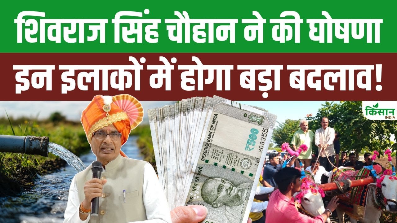 किसानों के लिए खुशखबरी! सरकार जल्द सुधारेगी सिंचाई व्यवस्था, बढ़ेगा उत्पादन और आमदनी