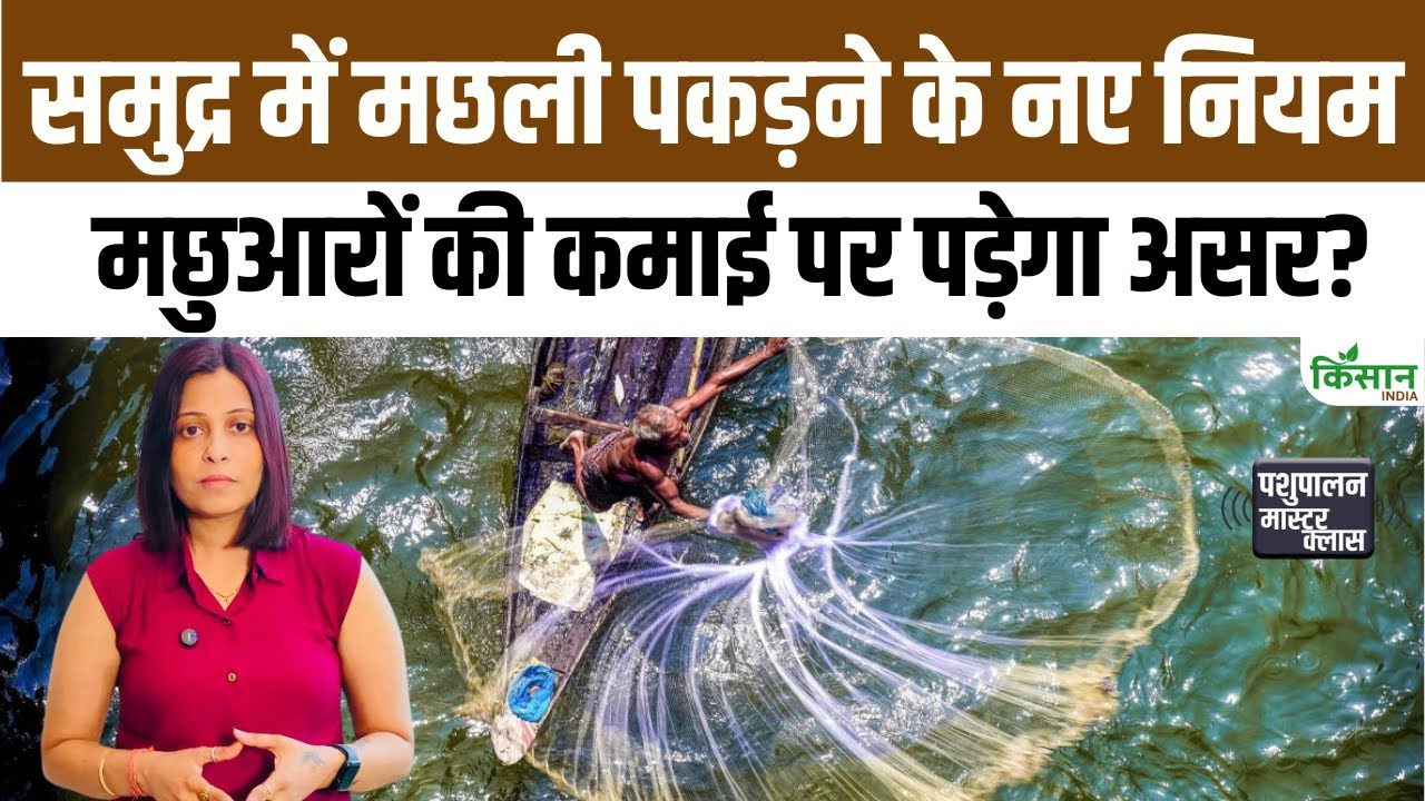Deep Sea Fishing के नए नियम लागू, मछुआरों की आमदनी बढ़ेगी.. सुरक्षा व्यवस्था होगी और मजबूत