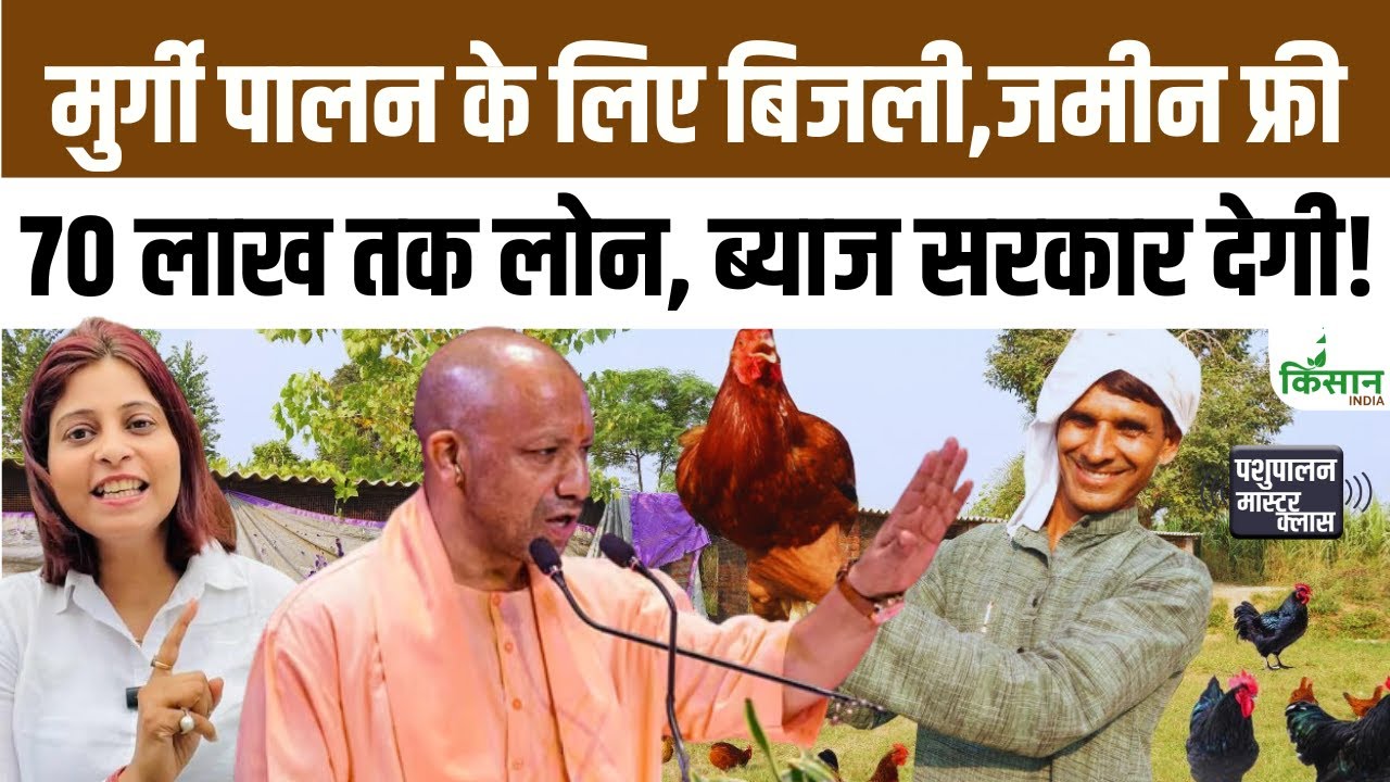 यूपी में कुक्कुट विकास योजना, Poultry किसानों को फ्री बिजली–लोन देकर बढ़ाया जाएगा ग्रामीण रोजगार