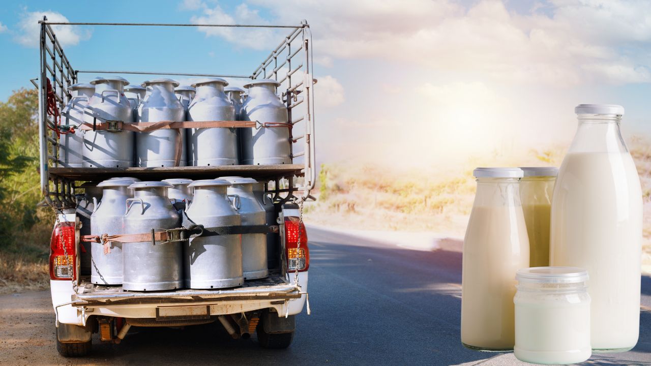 Highest Milk Producer States: भारत के सबसे बड़े दूध उत्पादक राज्य, टॉप 5 स्टेट की लिस्ट यहां देखें