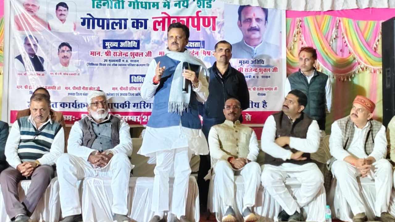 सात लाख हेक्टेयर जमीन को उपजाऊ बनाएंगी 50 हजार गायें, गोबर से बनी खाद का इस्तेमाल करेगी सरकार